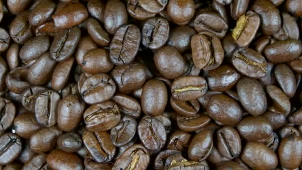 Närbilder Rostade Kaffebönor — Stockvideo