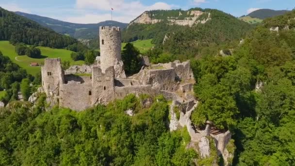 ドイツ ラインラント プファルツ州モゼル川上流の緑の丘の谷にあるブルグエルツ中世の城の空中写真 — ストック動画