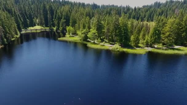 Drohne Fliegt Über Teich — Stockvideo
