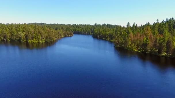 Drone Voa Sobre Lagoa — Vídeo de Stock