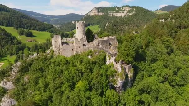 Luftaufnahme Der Mittelalterlichen Burg Eltz Grünen Hügelland Oberhalb Der Mosel — Stockvideo