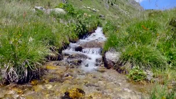 Arroyo Agua Cayendo Sobre Las Rocas — Vídeos de Stock