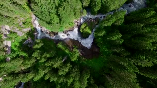 Εναέρια Άποψη Των Ψηλών Πράσινων Δέντρων Και Γρήγορο Ποτάμι Στα — Αρχείο Βίντεο