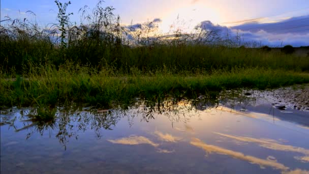 Hoog Groen Gras Prachtige Bewolkte Zonsondergang Hemel Weerspiegeld Kalm Water — Stockvideo