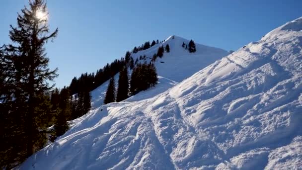 Ορεινό Τοπίο Χιονισμένες Κορυφές — Αρχείο Βίντεο