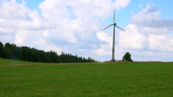 Générateur Éolienne Sur Fond Nature — Video