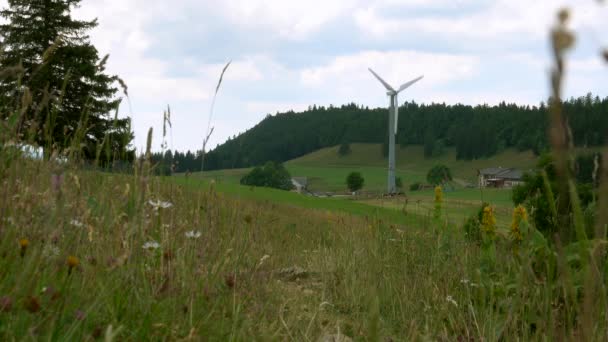 Générateur Éolienne Sur Fond Nature — Video