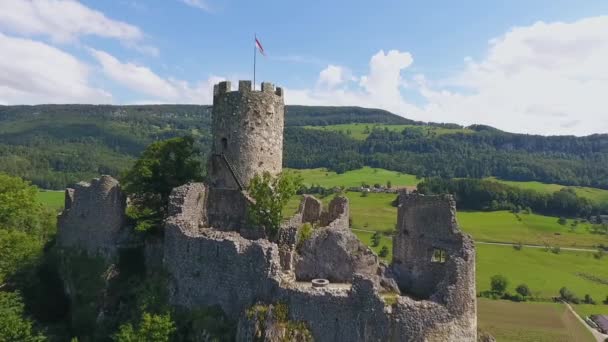 Vue Aérienne Château Médiéval Burg Eltz Dans Une Vallée Verdoyante — Video