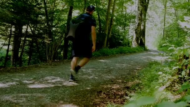 Вид Ззаду Людини Рюкзаком Йде Стежці Зеленому Лісі — стокове відео