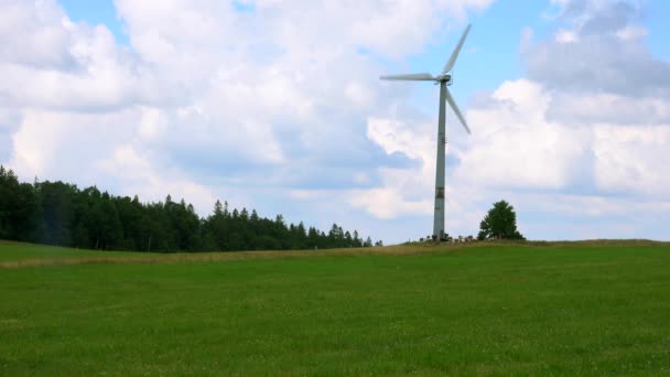 Générateur Éolienne Sur Fond Nature — Video