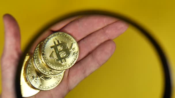 Tiro Cortado Pessoa Segurando Bitcoins Lupa Fundo Amarelo — Vídeo de Stock