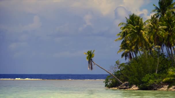 Praia Tropical Com Palmeiras Águas Turquesa Céu Azul — Vídeo de Stock