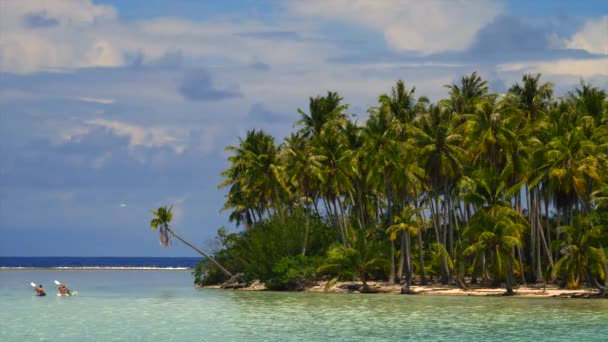 Palmiye Ağaçları Turkuaz Suları Mavi Gökyüzü Olan Tropik Bir Sahil — Stok video