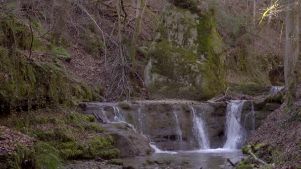 瀑布公园或森林中的一个小小的装饰性瀑布 — 图库视频影像