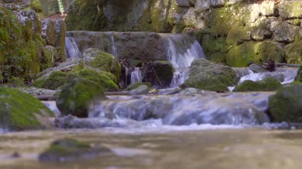 Una Piccola Cascata Decorativa Nel Parco Nel Bosco — Video Stock