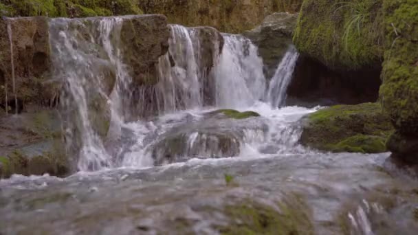 Small Decorative Waterfall Park Forest — Stock Video