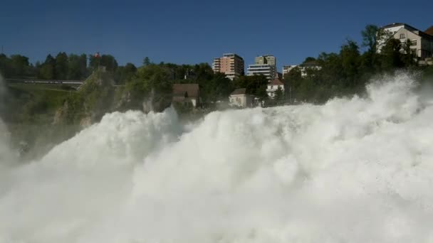 Fantastisk Utsikt Över Berömda Rhen Falls Vattenfall — Stockvideo