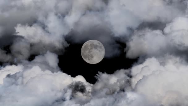 Pleine Lune Nuages Dans Ciel Noir Nuit — Video