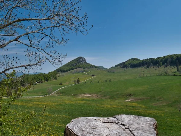 Paisagem Montanhosa Com Grama Verde Céu Azul — Fotografia de Stock