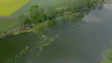 Sakin nehir ve yeşil bitki örtüsünün havadan görünüşü. Güzel manzara