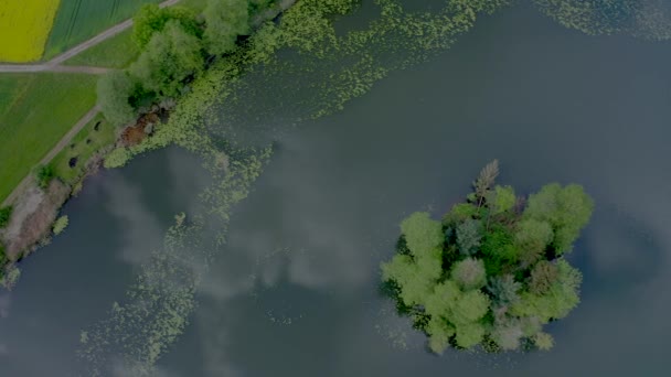 鸟瞰平静的河流和绿色的植被 美丽的风景 — 图库视频影像