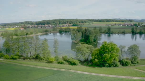 Flygfoto Över Lugn Flod Och Grön Vegetation Vackert Landskap — Stockvideo