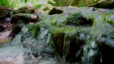 Güneşli bir günde, kayaların yosun ve akan suyla kaplı olduğu güzel nehrin yakın görüntüsü.