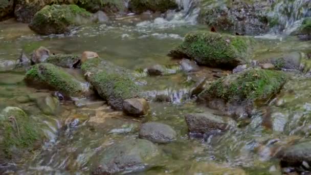 Vista Cerca Del Hermoso Río Con Rocas Cubiertas Musgo Agua — Vídeos de Stock