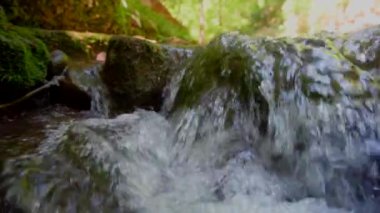 Güneşli bir günde, kayaların yosun ve akan suyla kaplı olduğu güzel nehrin yakın görüntüsü.