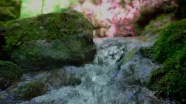 Güneşli bir günde, kayaların yosun ve akan suyla kaplı olduğu güzel nehrin yakın görüntüsü.