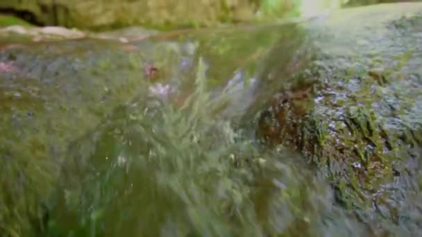 Vista Cerca Del Hermoso Río Con Rocas Cubiertas Musgo Agua — Vídeos de Stock