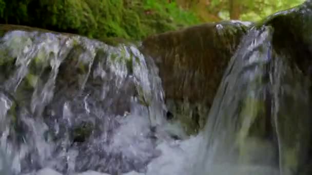 Close View Beautiful River Rocks Covered Moss Flowing Water Sunny — Stock Video