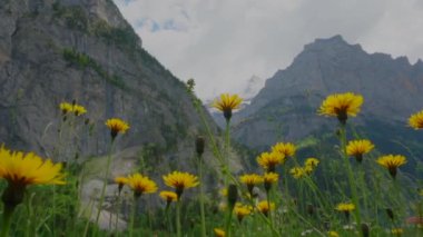 İsviçre 'nin Lauterbrunnen Vadisi' ndeki görkemli manzara