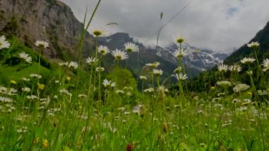 İsviçre 'nin Lauterbrunnen Vadisi' ndeki görkemli manzara
