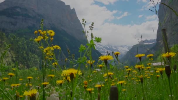 Paysage Majestueux Dans Vallée Lauterbrunnen Suisse — Video