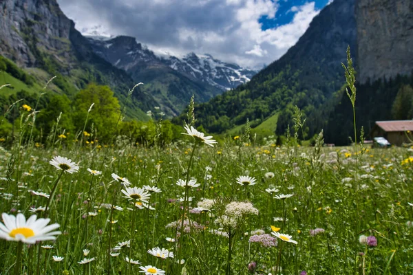 İsviçre 'nin Lauterbrunnen Vadisi' ndeki görkemli manzara