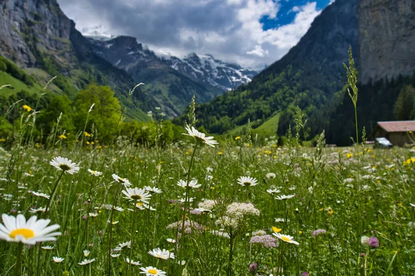 Величественный Пейзаж Долине Лаутербруннен Швейцария — стоковое фото