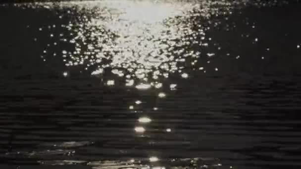 Schöne Natürliche Ansicht Des Malerischen Sonnenuntergangs Spiegelt Sich Teichwasser — Stockvideo
