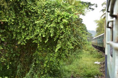 Tren hareket bulanıklığıyla dönüyor.