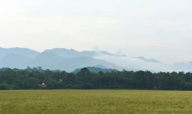 Dağda yeşil bir önplanı olan bulutlar