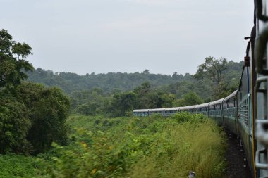 Güzel dağ demiryolunun içinden geçen bir tren.
