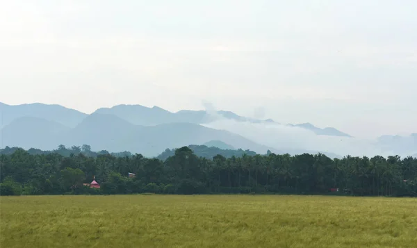 Nuvens na montanha com um primeiro plano verde — Fotografia de Stock