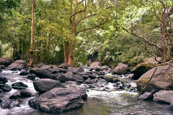 Un trek à dudhsagar tombe où la rivière coule — Photo