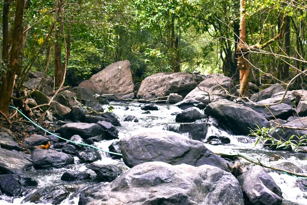 En stenig flodbädd mitt i skogen — Stockfoto