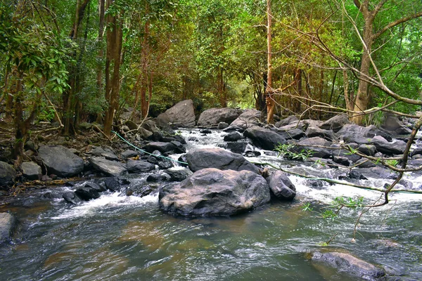 Река посреди джунглей с цветущими деревьями — стоковое фото