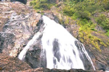 Şelale Goa 'da uzun süre korunarak ele geçirildi