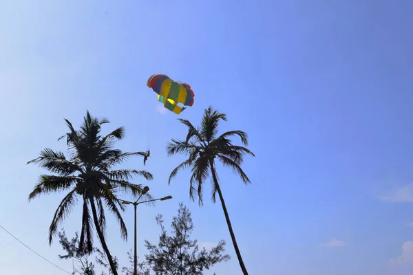 Paragliding between two palm trees in goa India — Stock Photo, Image