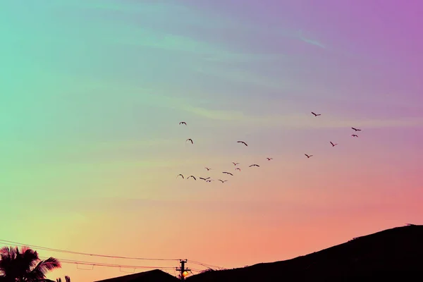 Барвисте Небо Усіма Красивими Кольорами Веселки Птахами Які Повертаються Додому — стокове фото