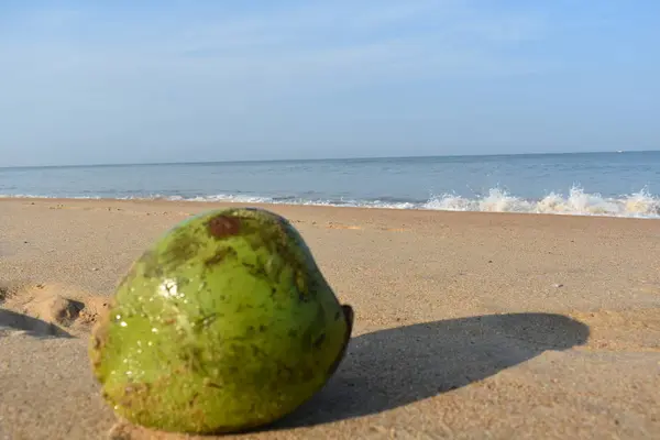 Coco Desfocado Primeiro Plano Uma Praia — Fotografia de Stock