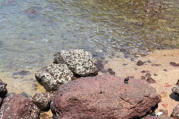 Frisches Meerwasser Berührt Die Felsen Ufer — Stockfoto